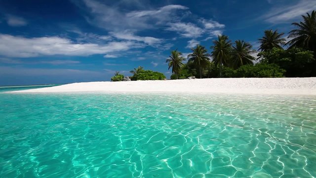 Palm trees over tropical lagoon with white beach in Maldives