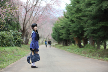 Fototapeta premium asian schoolgirl with nature