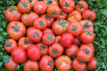 Tomatoes.