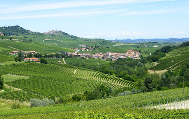 Summer landscape in Langhe (Italy)