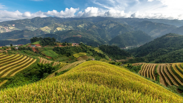 Rice terraces on the mountain.Mu cang chai,Vietnam.