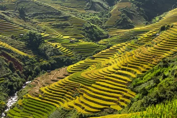 Rice fields on terraced of Mu Cang Chai, YenBai, Vietnam.