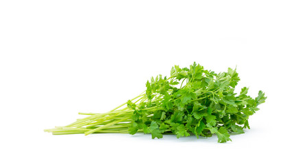 fresh parsley