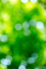 Green background