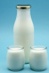 Yogur natural