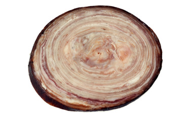 Rondelle d'andouille