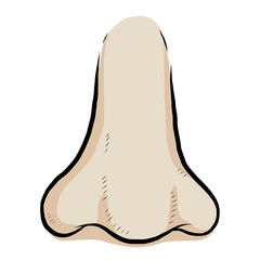 nose