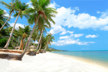 Naklejka na ściany i meble Tropical beach with palms