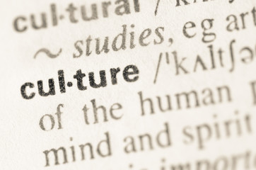 Dictionary definition of word culture