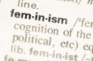 Dictionary definition of word feminism