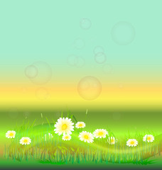 Spring white flowers background vector design