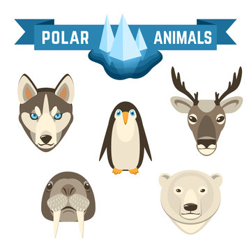 Polar Animals Set