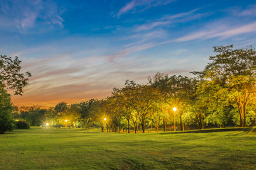 Fototapeta na wymiar park at sunset