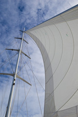 Fototapeta premium main sail in the wind