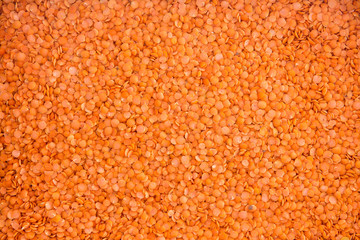 Food background of dried red lentils