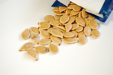 pumpkin seed