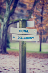 Rustic wooden sign in an autumn park with the words Equal - Diff