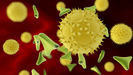 two types of pollen