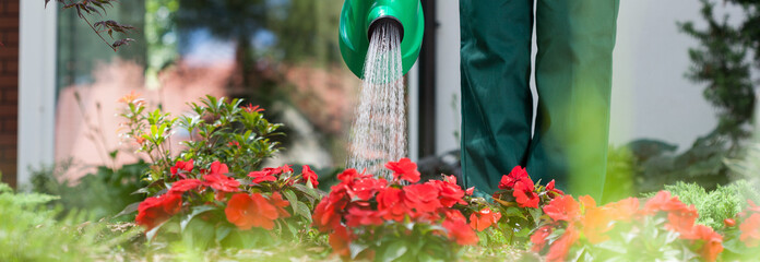 Gardener watering flowers