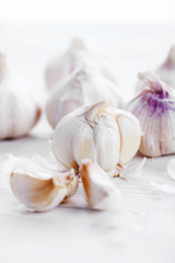 Garlic