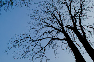 blue sky in happy day