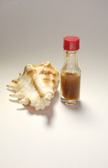 shell bottle