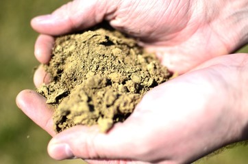 Male hands holding soil on land