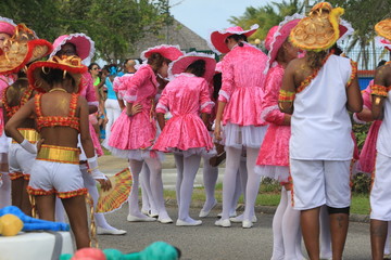 Guyane - Carnaval 2015 - Parade du Littoral