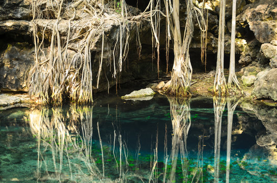 X-Batun Cenote - turquoise fresh water with water lilies