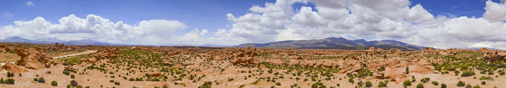 Panorama Altiplano