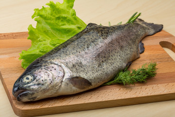 Raw fresh trout