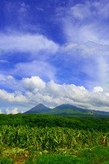 View of Izalco volcano in El Salvador