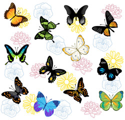 Vector butterfly background