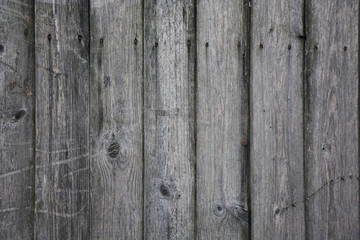 Naklejka premium Grey wood. Picture can be used as a background