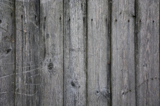 Grey wood. Picture can be used as a background