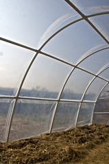 small PVC tunnel greenhouse