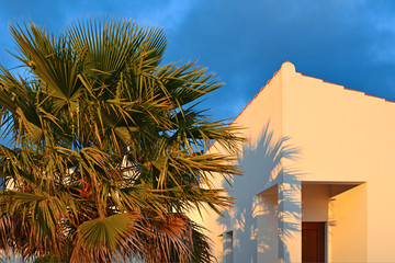Palm tree in front of a typical house at the Algarve, Portugal