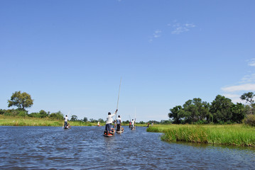 Okavango Delta: Mokoro trip on the river, Botswana Africa