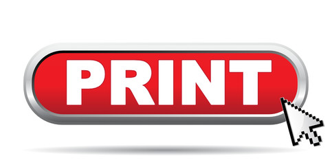 PRINT ICON
