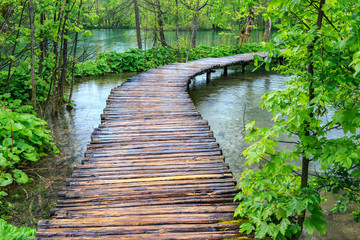 Boardwalk in the park Plitvice lakes