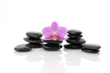 Obraz na płótnie Canvas Set of pink orchid on black stacked stones