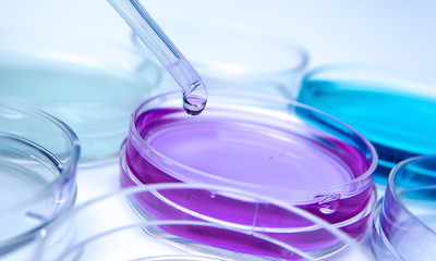 Pipette with drop of color liquid and petri dishes
