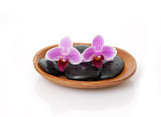 Fototapeta premium Two pink orchid with black stones on wooden bowl