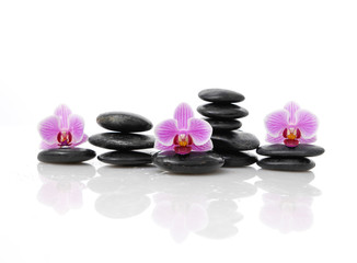 Naklejka na ściany i meble Set of beautiful orchid on black stacked stones