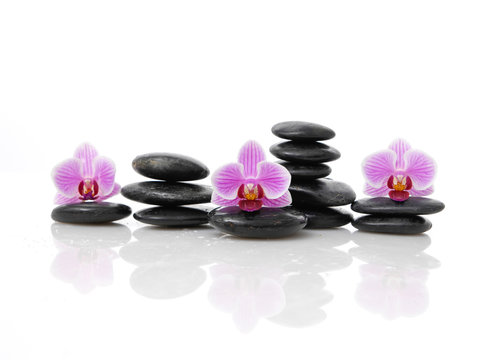 Set of beautiful orchid on black stacked stones