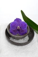 bowl of blue orchid with salt and leaf on towel