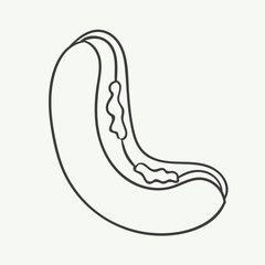 Hand drawn hot dog