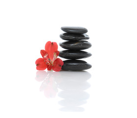 Violet red orchid on stacked black stones 