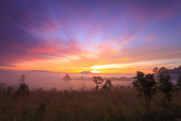 Fototapeta na wymiar misty morning sunrise in mountain at Thung Salang Luang National