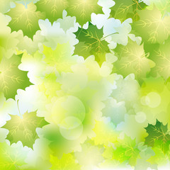 green leaves background